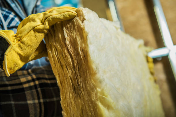 Best Specialty Insulation in Morristown, TN